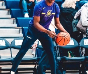 开云体育官方-勇士对最新消息